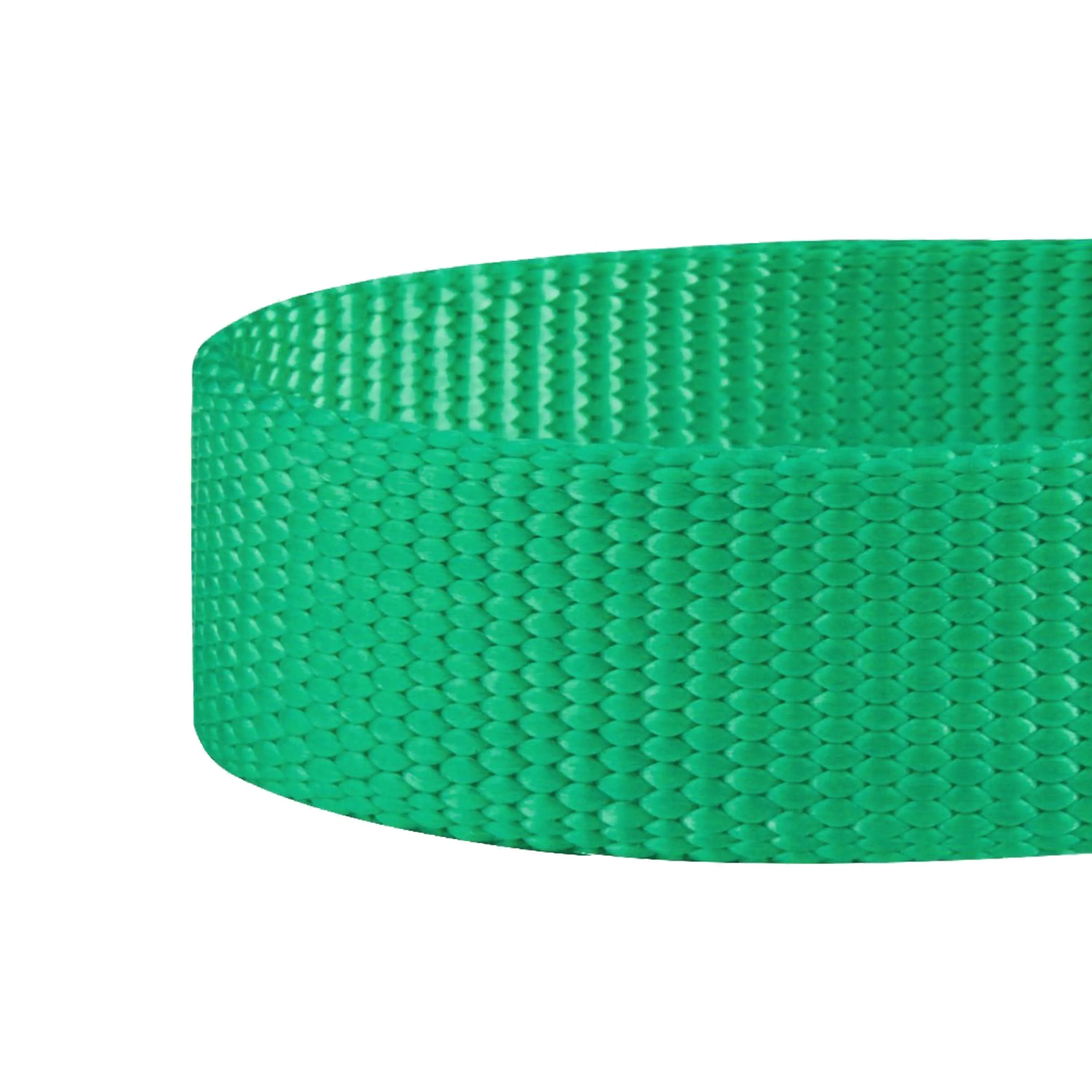 Classic Solid Color Adjustable Dog Collar, Green