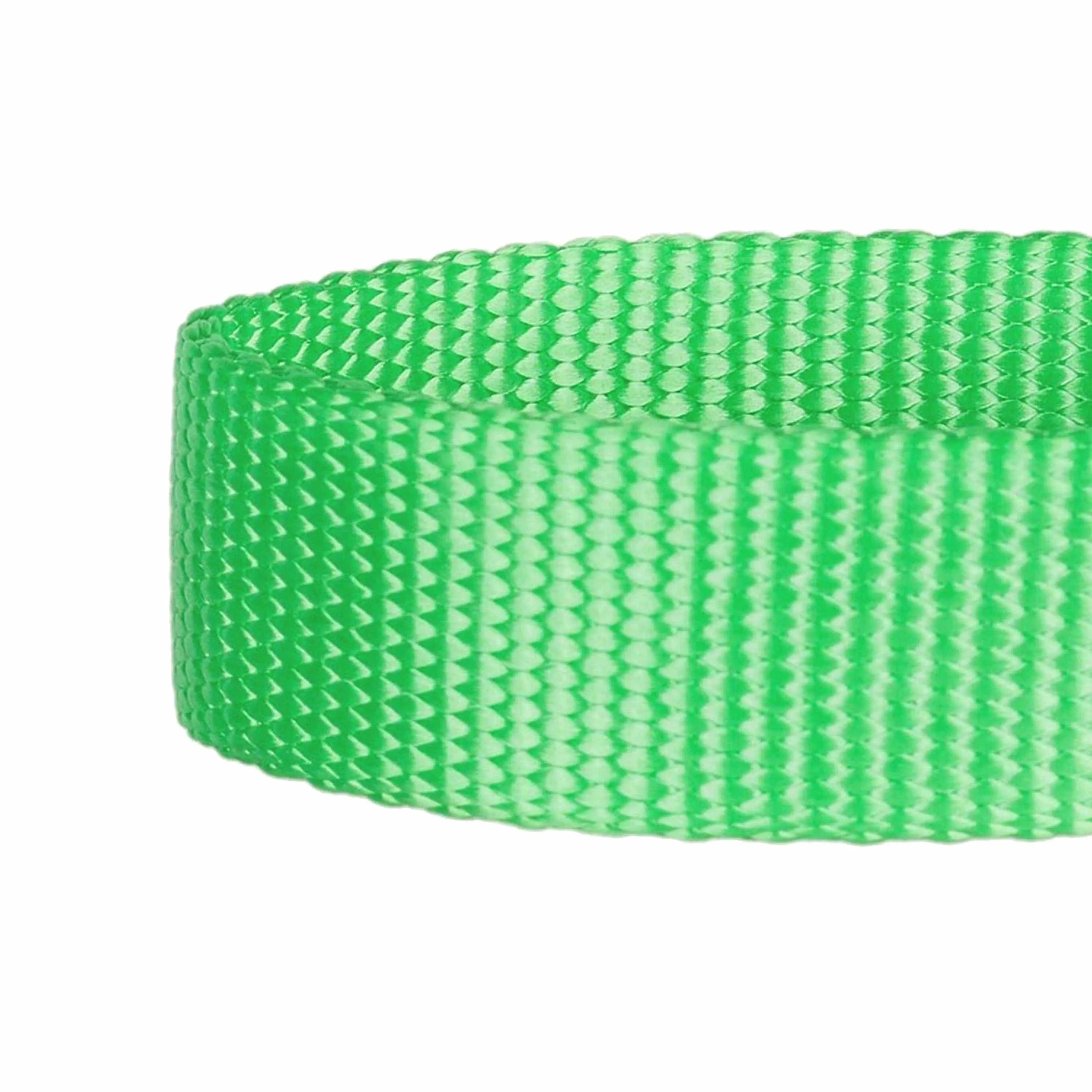 Classic Solid Color Adjustable Dog Collar, Green