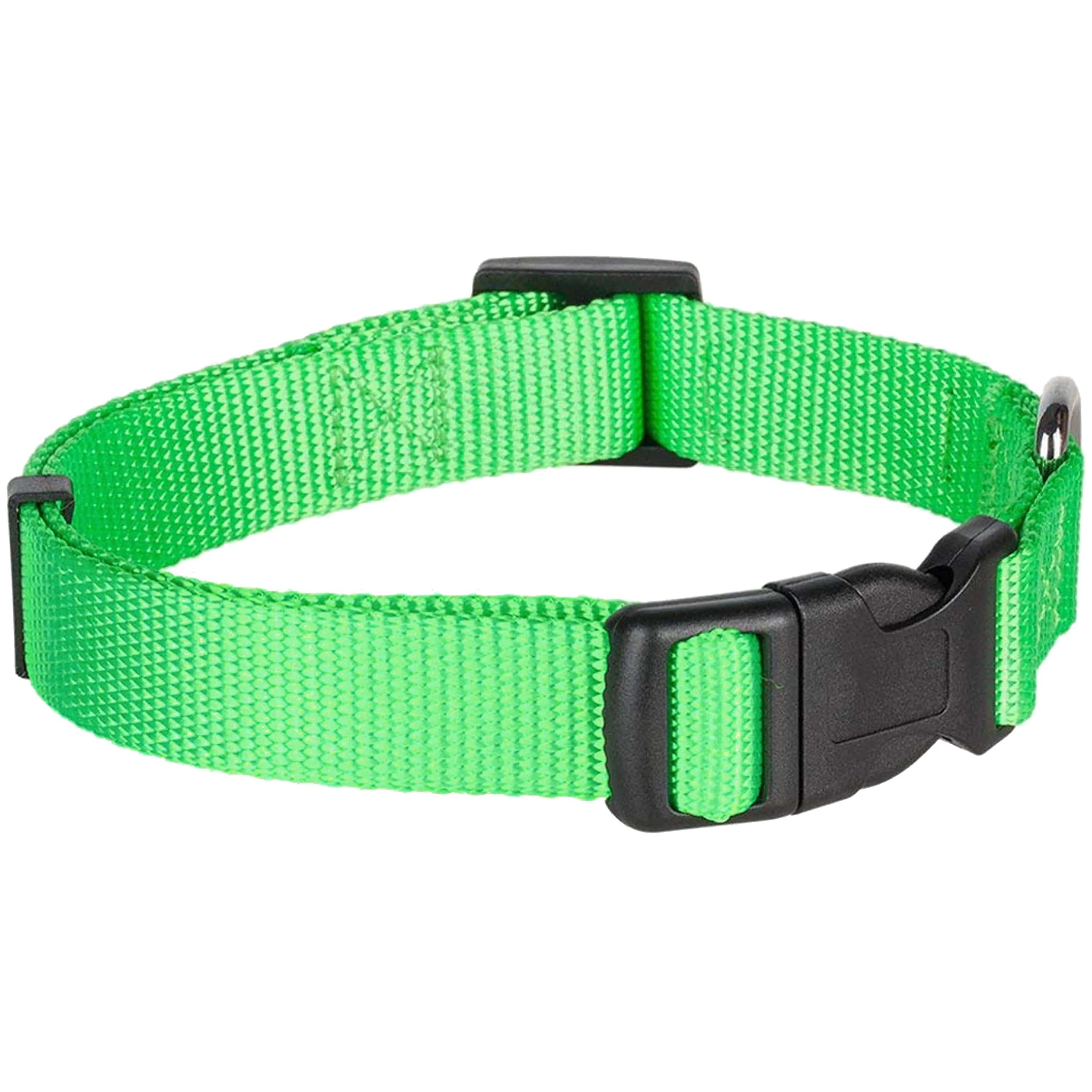 Classic Solid Color Adjustable Dog Collar, Green